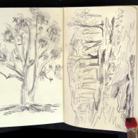Sandra Graham - Sketch book, pencil